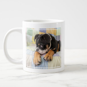 Grande Tasse Animaux de bébés cutest Shy Old English Bulldog