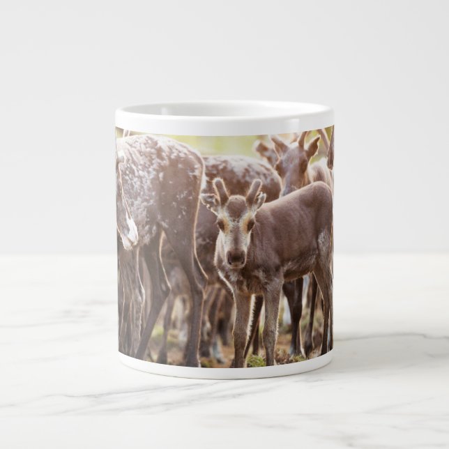 Grande Tasse Animaux de bébés cutest | Svalbard Reindeer (Devant)