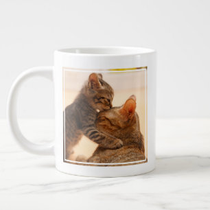 Grande Tasse Animaux de bébés cutest   Tabby Kitten Kiss