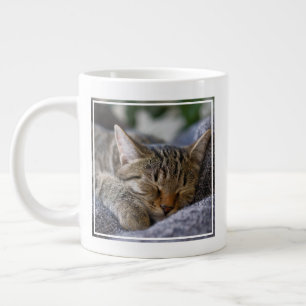 Grande Tasse Animaux de bébés cutest Tabby Kitten Sommeil