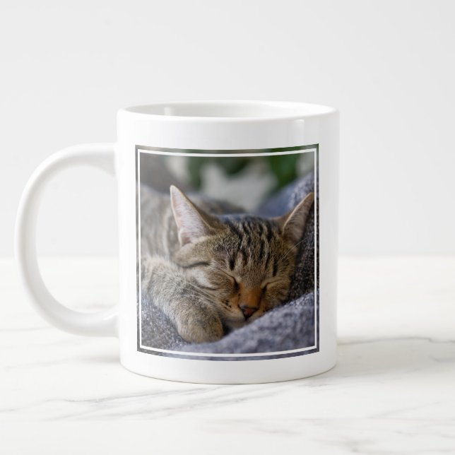 Grande Tasse Animaux de bébés cutest | Tabby Kitten Sommeil (Gauche)
