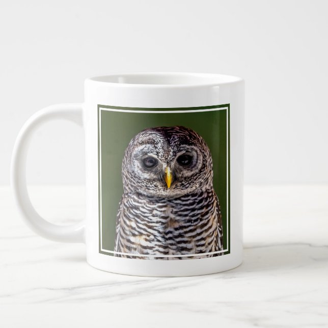 Grande Tasse Animaux de bébés cutest | Tawny Owl (Gauche)