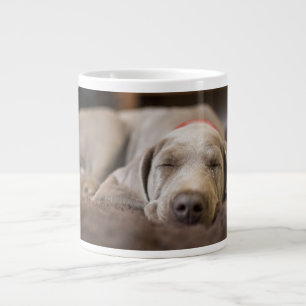 Grande Tasse Animaux de bébés cutest Weimaraner Puppy Sleepin