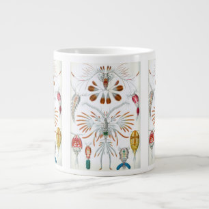 Grande Tasse Animaux de l'océan vintage, Copepoda par Ernst Hae