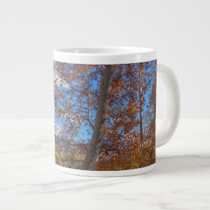 Grande Tasse Assaisonnement SEDONA Oak Creek Canyon