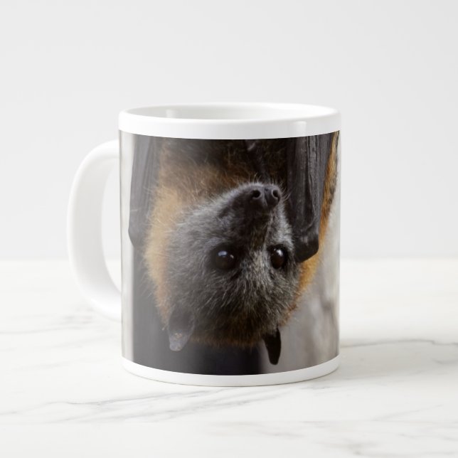 Grande Tasse Bat australien (Devant gauche)