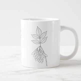 Grande Tasse Boxelder Maple - Acer Negundo - Plantes autochtone