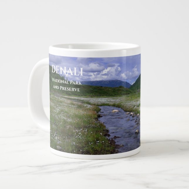 Grande Tasse Buffalo Creek, Denali National Park et Preserve (Devant gauche)
