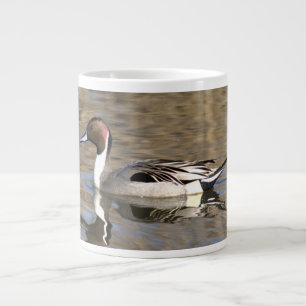 Grande Tasse Canard pilet nage dans un étang