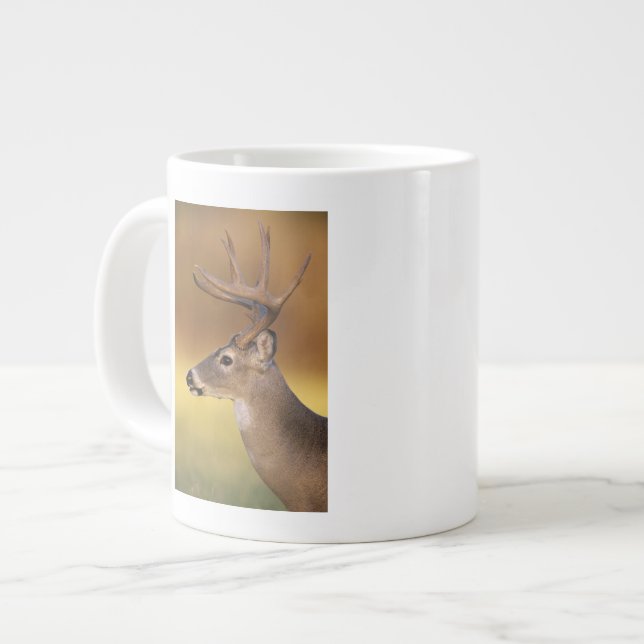 Grande Tasse Cerf de Virginie, Odocoileus virginianus, (Devant gauche)
