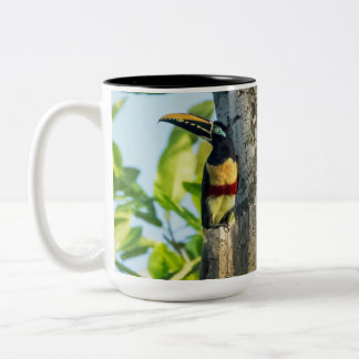 grande tasse Châtaigne-à oreilles d'Aracari