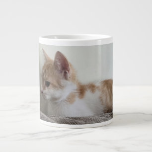 Grande Tasse Chaton roux et blanc