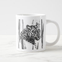 Cheetah Portrait