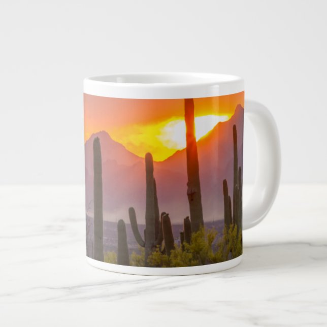 Grande Tasse Coucher de soleil de cactus du désert, Arizona (Devant droit)