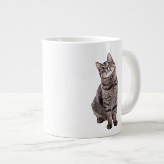 Grande Tasse Cute tabby Chat