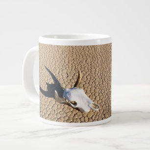 Grande Tasse Deserts   Cow Skull on the Desert Ground