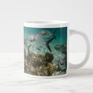 Grande Tasse École de permis de pêche
