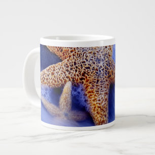 Grande Tasse États-Unis, Caroline du Sud, Hilton Head Island. D
