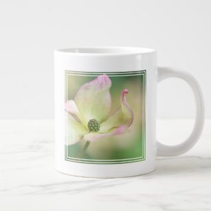 Grande Tasse Fleur de Dogwood Cornus Kousa 'Miss Satomi'