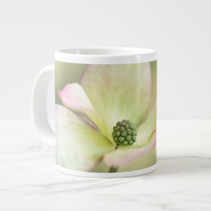 Grande Tasse Fleur de Dogwood Cornus Kousa 'Miss Satomi'