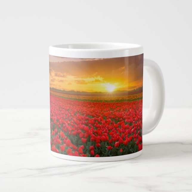 Grande Tasse Fleurs | Jardin botanique Hollande (Devant droit)
