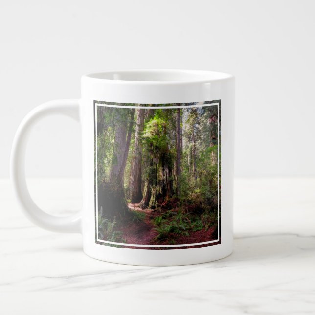 Grande Tasse Forest | Séquwood Forest California (Gauche)