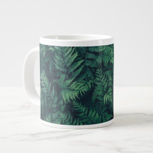 Grande Tasse Forêt   Fermes des bois