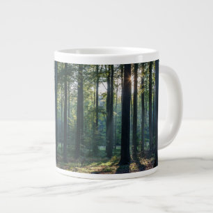Grande Tasse Forêt Forêt Noire Allemagne