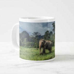 Grande Tasse Forêt   Parc national de Kao Sok