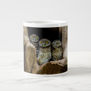 Grande Tasse Forêt   Trois Chouettes