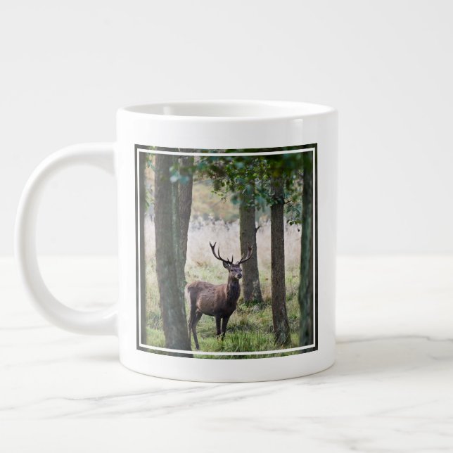 Grande Tasse Forêt | Woodlands & Red Deer (Gauche)