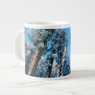 Grande Tasse Glace et neige Parc national de Sequoia, Califor