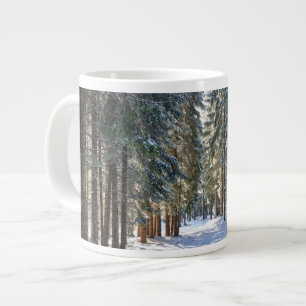 Grande Tasse Glace et neige   Tatra Mountains, Pologne