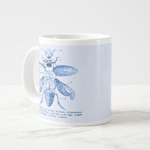 Grande Tasse Image Insecte Vintage  Les coléoptères  Bleu