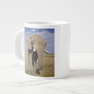 Grande Tasse Kenya : Parc national d'Amboseli, éléphant mâle