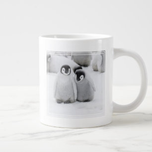 Grande Tasse L'empereur Penguin Chicks sur la glace en Antarcti