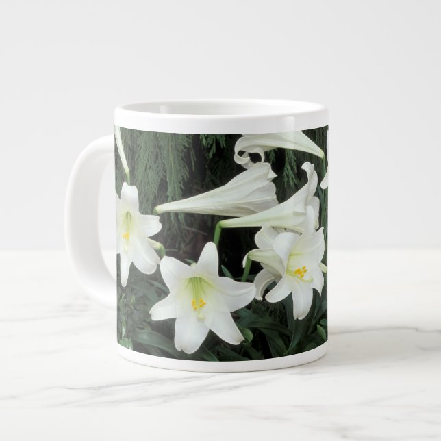 Grande Tasse Lily de Pâques (Lilium regale) (Devant gauche)