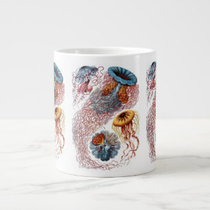 Grande Tasse Méduse vintage par Ernst Haeckel, Discomedusae