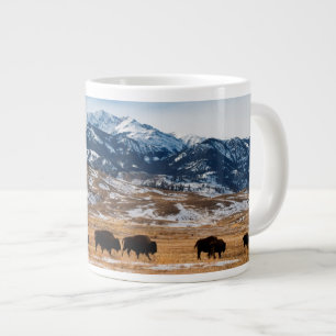 Grande Tasse Migration des bisons