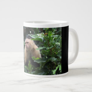 Grande Tasse Monkey capucin, Panama, jungle, photo