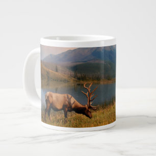 Grande Tasse Montagnes   Jacques Mountain Range Alberta Canada