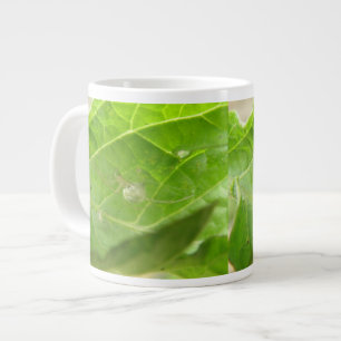Grande Tasse Petite boue d'araignée