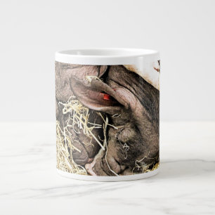 GRANDE TASSE PETITS PIÈCES FRAÎCHES