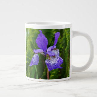 Grande Tasse Photographie florale d'Iris sibirica