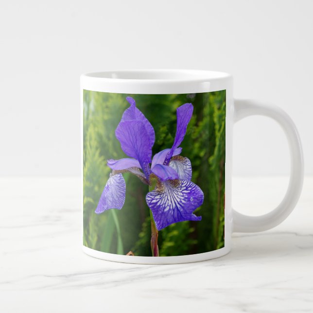 Grande Tasse Photographie florale d'Iris sibirica (Droite)