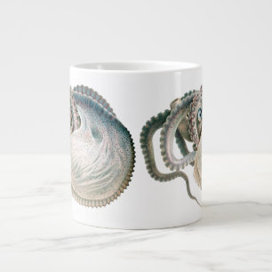 Grande Tasse Pieuvre Argonaute, Animaux de la Vie Marine Vintag