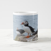 Puffins aux Îles Féroé