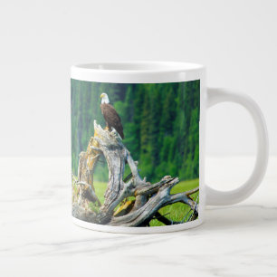 Grande Tasse Pygargue à tête blanche perché sur une branche