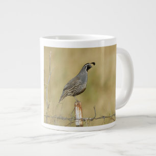 Grande Tasse Quail de Californie