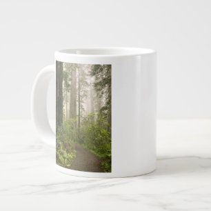 Grande Tasse Rhododendron en fleurs parmi les séquoias à feuill